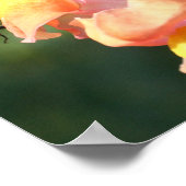 Bumble Bee op Snapdragon Flower Natuur Poster (Hoek)