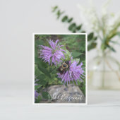 Bumble Bee op Wild Bergamot Briefkaart (Staand voorkant)