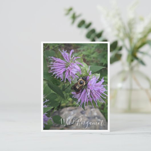 Bumble Bee op Wild Bergamot Briefkaart (Staand voorkant)
