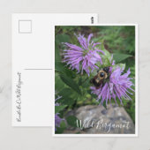 Bumble Bee op Wild Bergamot Briefkaart (Voorkant / Achterkant)