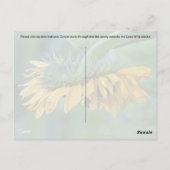 Bumble Bee op Zonnebloem - Briefkaart (Achterkant)