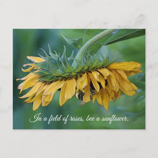 Bumble Bee op Zonnebloem - Briefkaart (Voorkant)