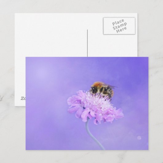 Bumble Bee Perst op een Paarse ventilator Briefkaart (Voorkant / Achterkant)