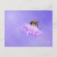 Bumble Bee Perst op een Paarse ventilator