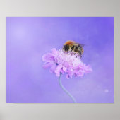 Bumble Bee Perst op een Paarse ventilator Poster (Voorkant)