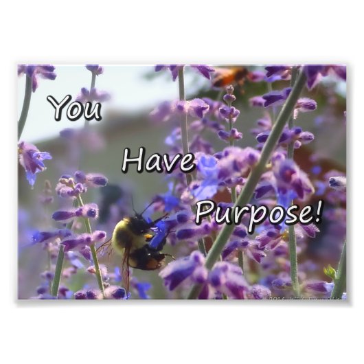 Bumble Bee Photo - Je hebt een doel Foto Afdruk (Voorkant)