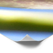 Bumble Bee pollen poster (Hoek)