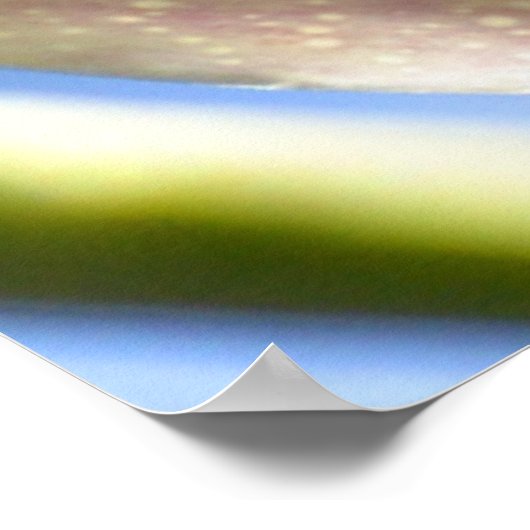 Bumble Bee pollen poster (Hoek)