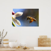 Bumble Bee pollen poster (Keuken)