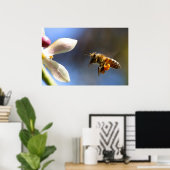 Bumble Bee pollen poster (Thuiskantoor)