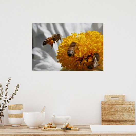 Bumble Bee pollen poster (Keuken)