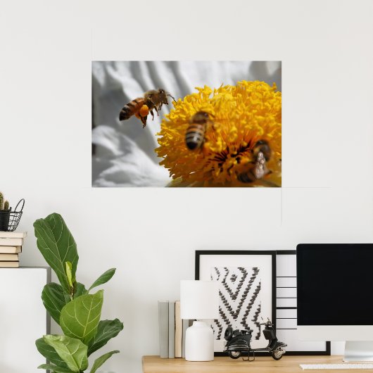 Bumble Bee pollen poster (Thuiskantoor)