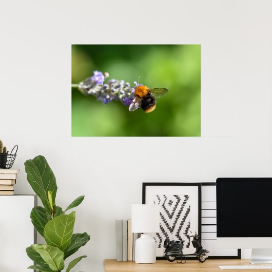 Bumble Bee Poster (Thuiskantoor)