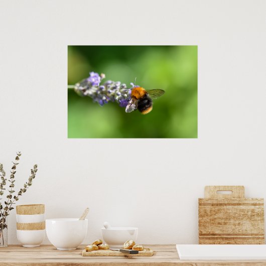 Bumble Bee Poster (Keuken)