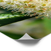 Bumble Bee Poster (Hoek)