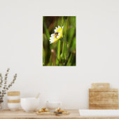 "Bumble Bee" Poster (Keuken)