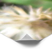 Bumble Bee Poster (Hoek)