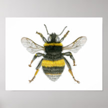 Bumble Bee Poster Print
