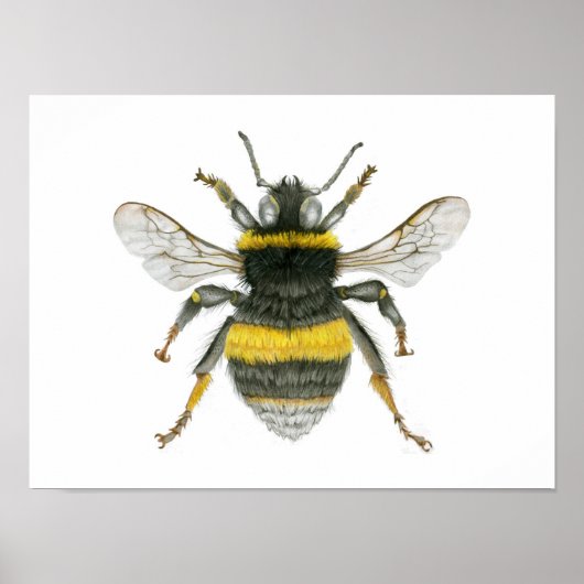 Bumble Bee Poster Print (Voorkant)