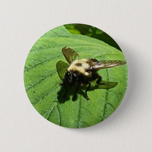 Bumble Bee Ronde Button 5,7 Cm (Voorkant)