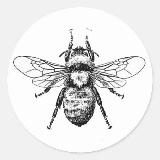 Bumble Bee Ronde Sticker (Voorkant)