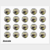 Bumble Bee Save the Bees Ronde Sticker (Vel)