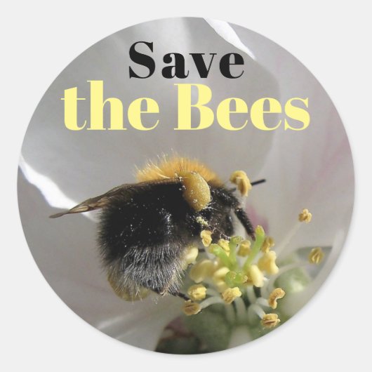 Bumble Bee Save the Bees Ronde Sticker (Voorkant)