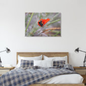 Bumble bee slaapt in een Californische papaver Canvas Afdruk (Insitu (Slaapkamer))