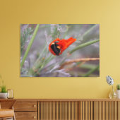Bumble bee slaapt in een Californische papaver Canvas Afdruk (Insitu (Woonkamer))