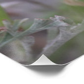 Bumble bee slaapt in een Californische papaverPost Perfect Poster (Hoek)