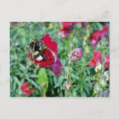 Bumble Bee/Snapdragon Briefkaart (Voorkant)