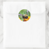 Bumble Bee Stickers (Tas)