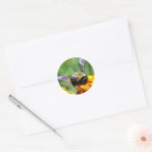 Bumble Bee Stickers (Envelop)