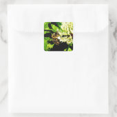 Bumble Bee Stickers (Tas)