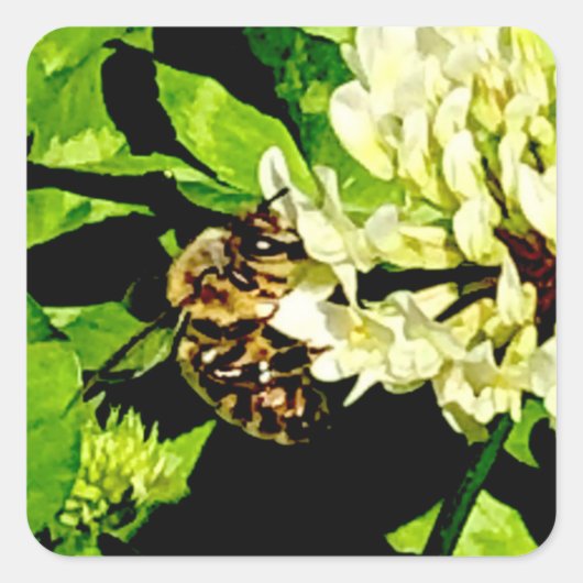 Bumble Bee Stickers (Voorkant)