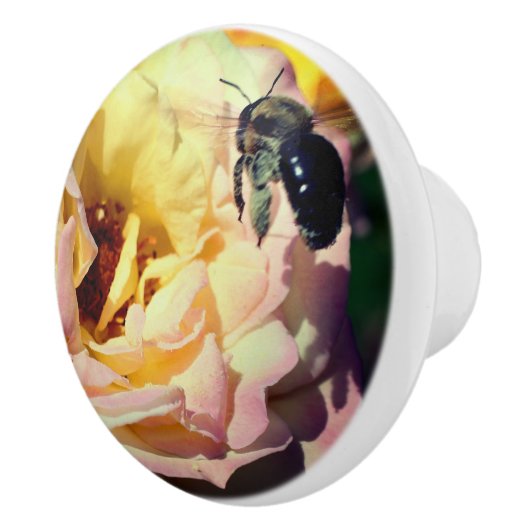 Bumble bee vliegt in roze roze roze roze dicht keramische knop (Rechts)