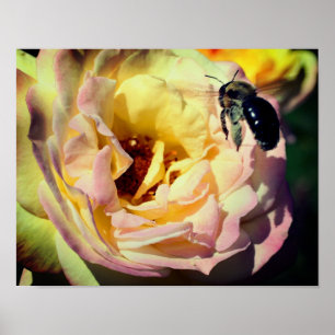 Bumble bee vliegt in roze roze roze roze dicht poster