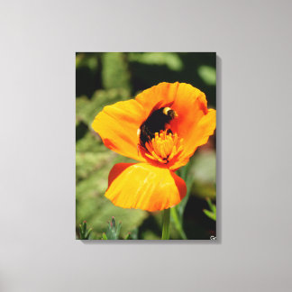 Bumble Bee Wilde Bloemen Canvasprint Canvas Afdruk