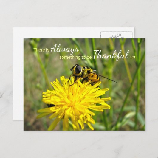 Bumble bee Yellow Dandelion Altijd bedankt Briefkaart (Voorkant / Achterkant)