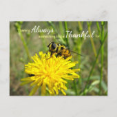 Bumble bee Yellow Dandelion Altijd bedankt Briefkaart (Voorkant)