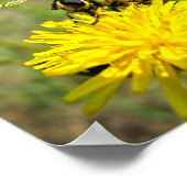 Bumble bee Yellow Dandelion Altijd bedankt Poster (Hoek)