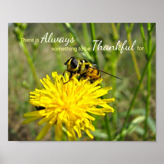 Bumble bee Yellow Dandelion Altijd bedankt Poster (Voorkant)