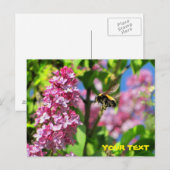 Bumble Bee zweeft boven Lilacs Briefkaart (Voorkant / Achterkant)