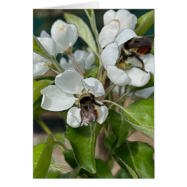 Bumble Bees & Blossoms - 5" x 7" Art Kaart