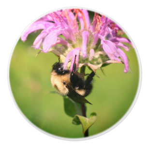 Bumble bei on bee balm close up keramische knop