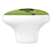 Bumble bei on bee balm close up keramische knop (Zijkant)