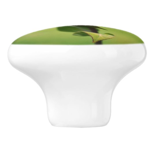 Bumble bei on bee balm close up keramische knop (Zijkant)