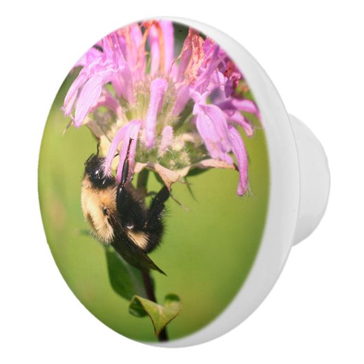 Bumble bei on bee balm close up keramische knop (Rechts)