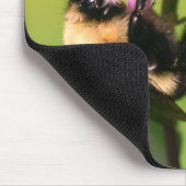 Bumble bei on bee balm Flower Muismat (Hoek)