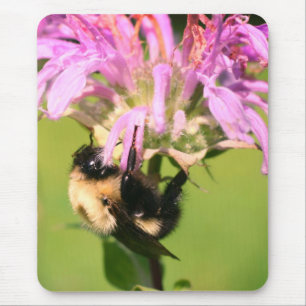 Bumble bei on bee balm Flower Muismat